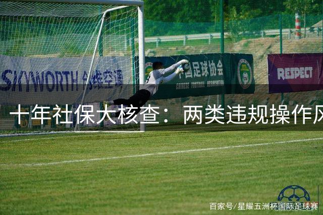 十年社保大核查：两类违规操作风险远超欠缴