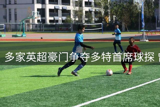 多家英超豪门争夺多特首席球探 曾慧眼识珠发掘两大亿元先生